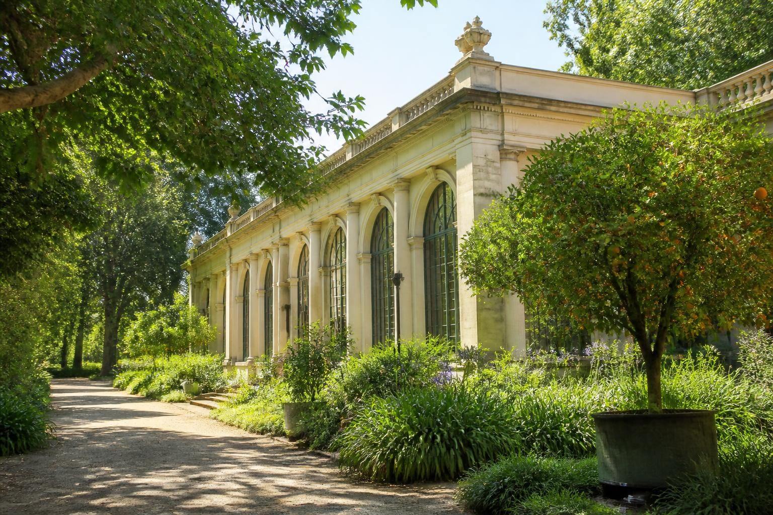 découvrez l'orangerie du jardin des plantes, un véritable écrin de verdure en plein cœur de la ville, idéal pour une balade paisible et nature.