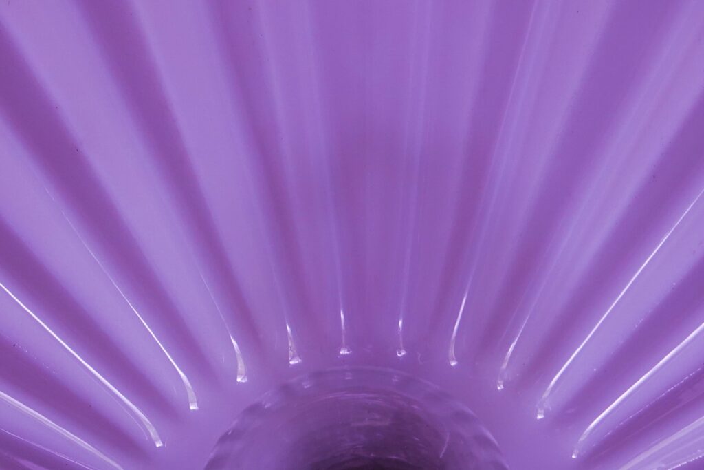 Violet fan