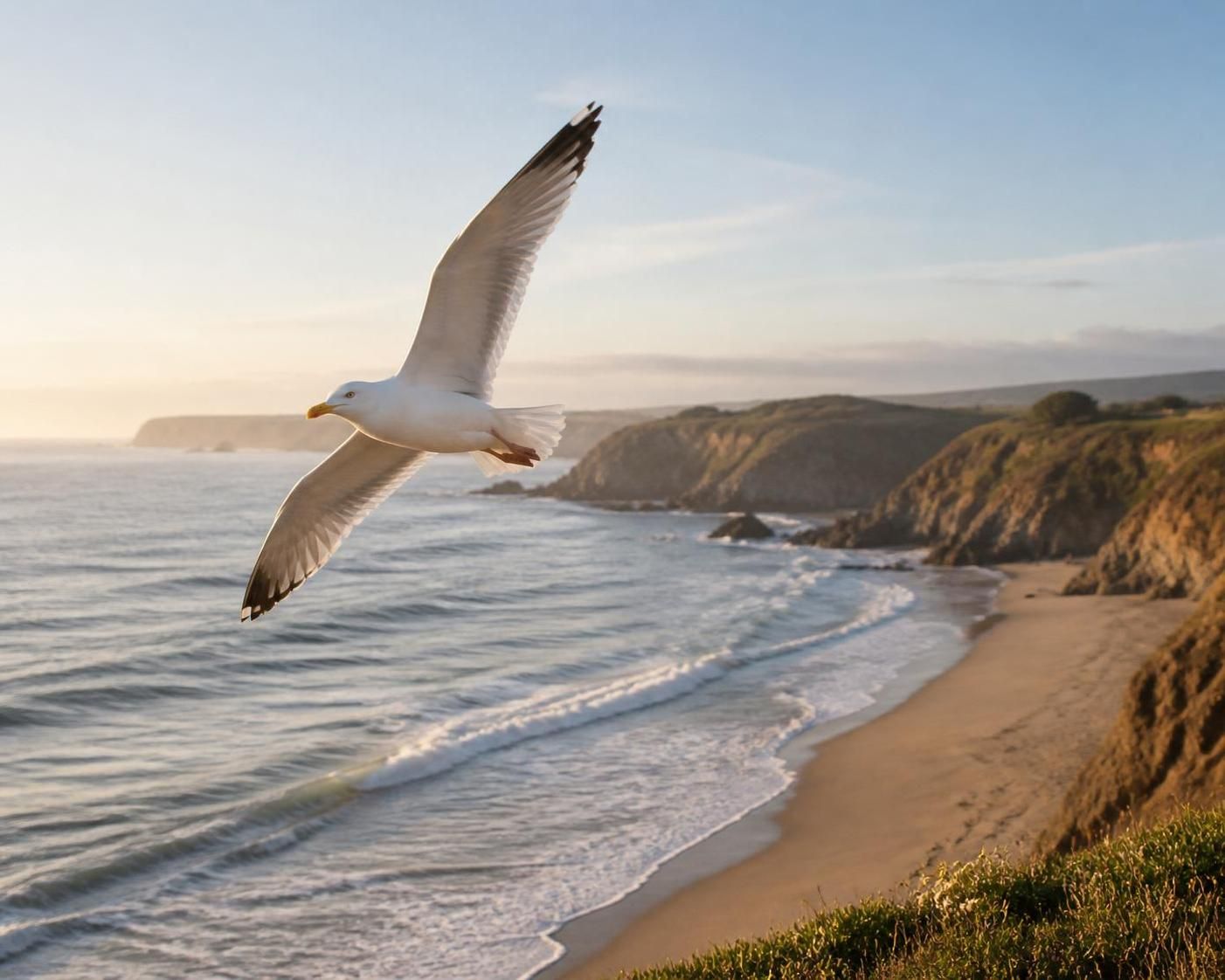 découvrez pourquoi la mouette, cet oiseau marin emblématique, captive tant les passionnés de nature grâce à son comportement unique et son rôle essentiel dans l'écosystème côtier.