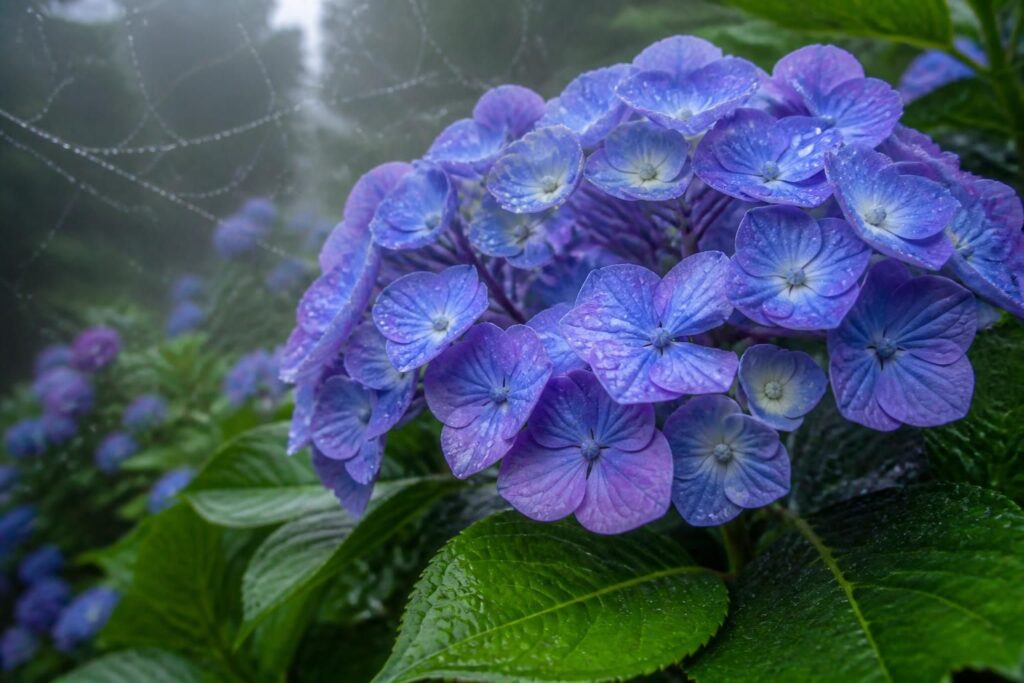 découvrez comment protéger les fleurs de votre hortensia macrophylla des effets de l'humidité grâce à nos astuces simples et efficaces pour un jardin toujours fleuri.
